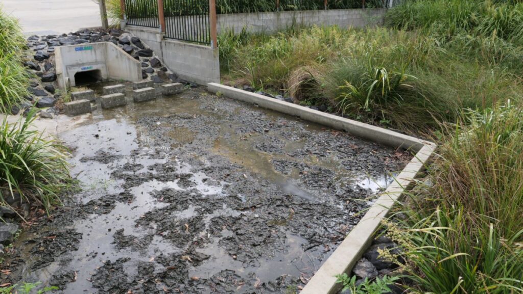 Bioretention systems and ponding water
